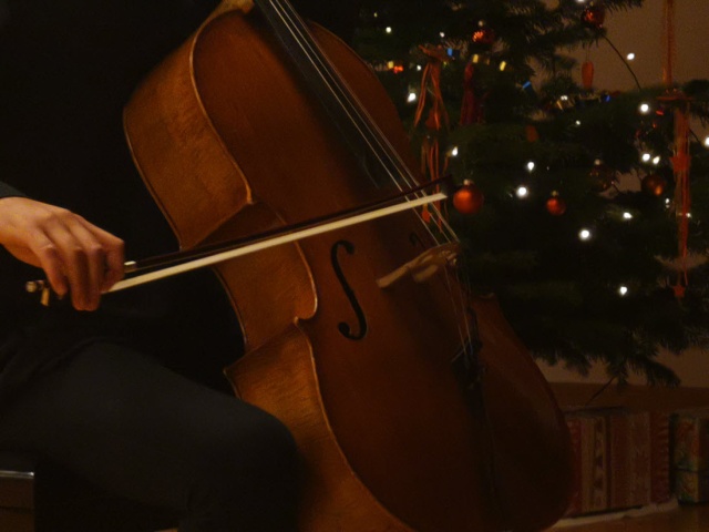 Orlando Theuler liess auf dem Cello die Saiten und den Bogen tanzen.